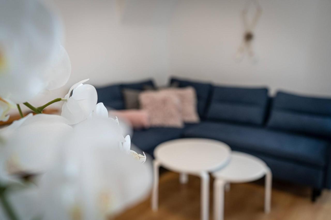 Aparteo Apartamenty Klarent 扎科帕内 外观 照片